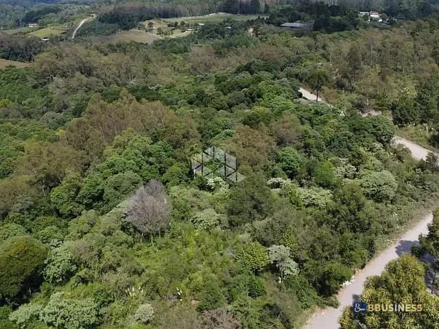 Terreno com 46616m², à venda, no bairro Forqueta em Caxias do Sul