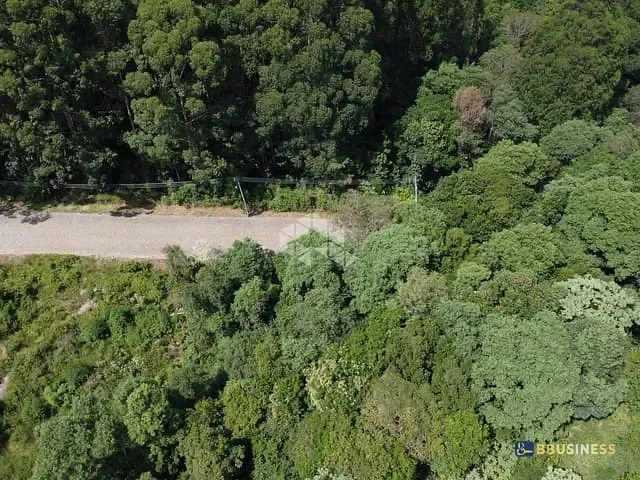 Terreno com 46616m², à venda, no bairro Forqueta em Caxias do Sul