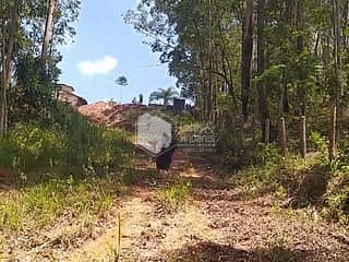Foto do Terreno-Lote em condomínio para venda em Chácara Jaraguá, 300m²