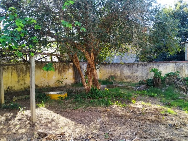 Terreno com 700m², à venda, no bairro Centro em Pindamonhangaba