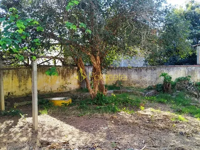Terreno com 700m², à venda, no bairro Centro em Pindamonhangaba