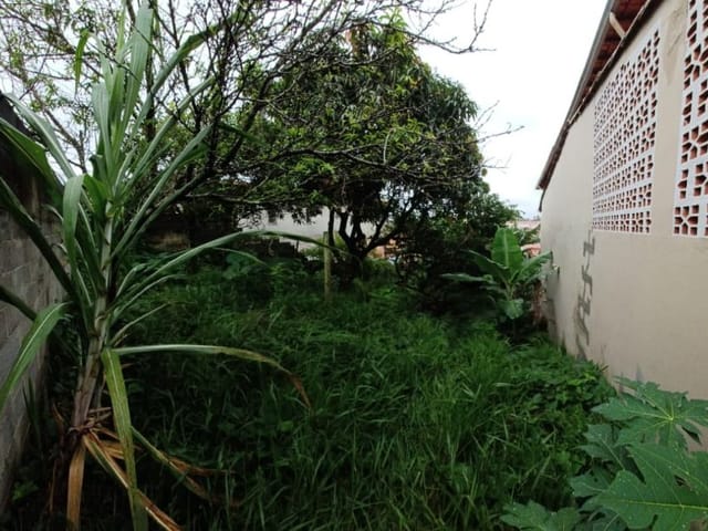 Terreno com 250m², à venda, no bairro Parque Sao George em Cotia