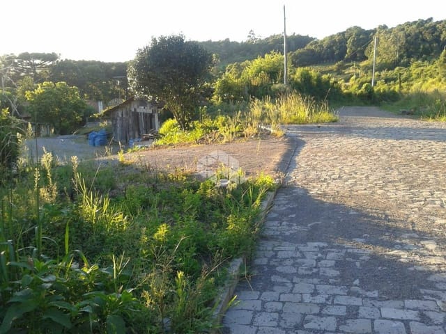 Terreno com 25000m², à venda, no bairro Desvio Rizzo em Caxias do Sul