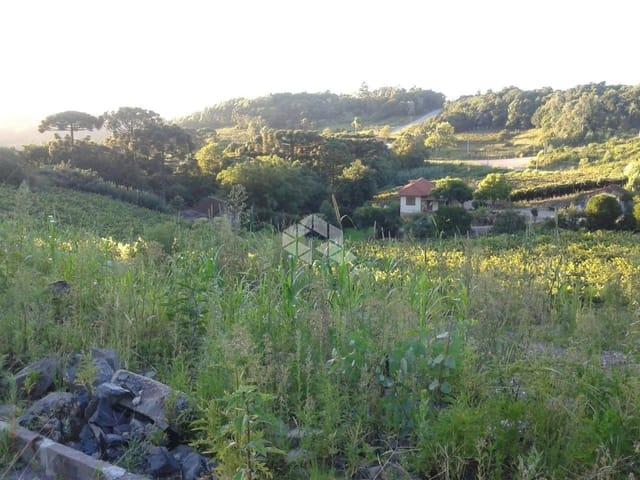 Terreno com 25000m², à venda, no bairro Desvio Rizzo em Caxias do Sul