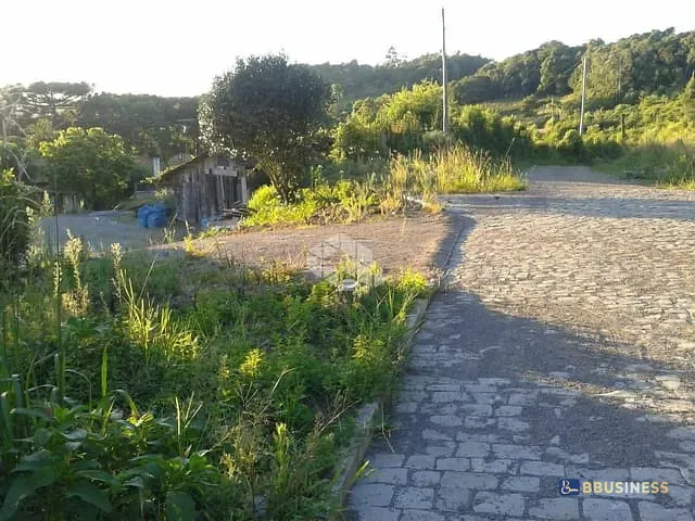 Terreno com 25000m², à venda, no bairro Desvio Rizzo em Caxias do Sul