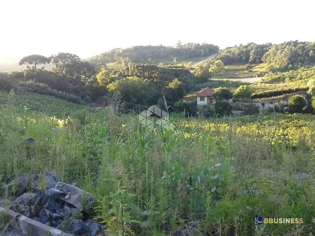 Terreno com 25000m², à venda, no bairro Desvio Rizzo em Caxias do Sul