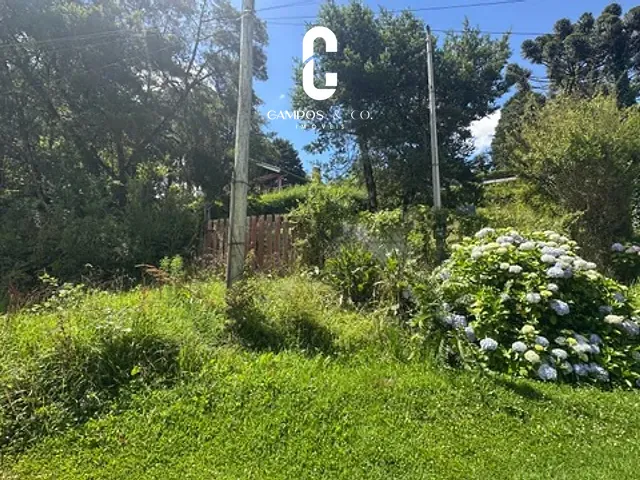 Terreno com 1029m², à venda, no bairro Vale Feliz em Campos do Jordão