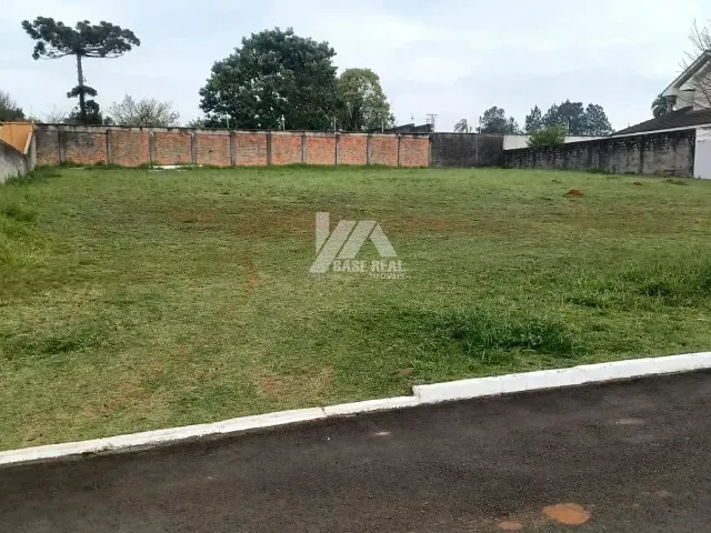 Terreno com 497m², à venda, no bairro Colônia Dona Luíza em Ponta Grossa
