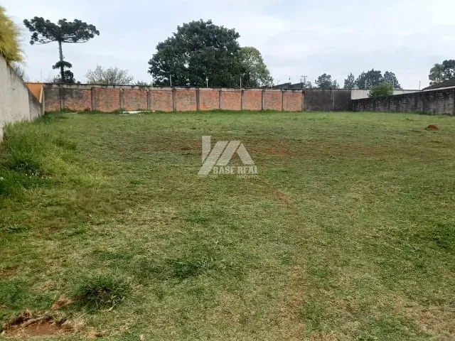 Terreno com 497m², à venda, no bairro Colônia Dona Luíza em Ponta Grossa