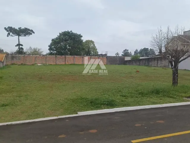 Terreno com 497m², à venda, no bairro Colônia Dona Luíza em Ponta Grossa