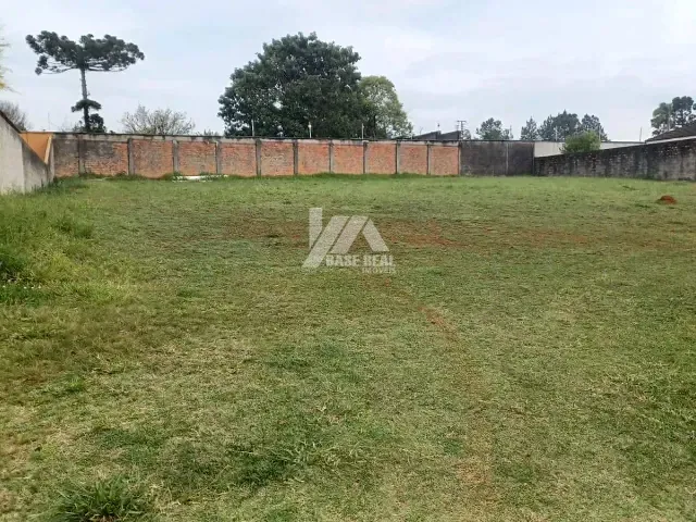 Terreno com 497m², à venda, no bairro Colônia Dona Luíza em Ponta Grossa