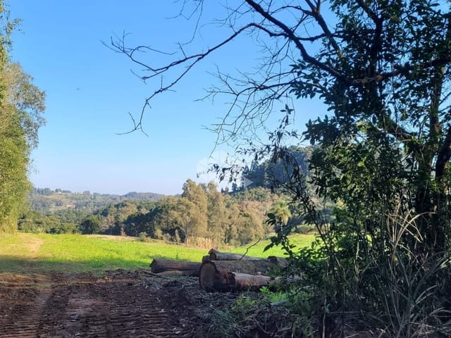 Terreno com 14044m², à venda, no bairro Forqueta em Caxias do Sul