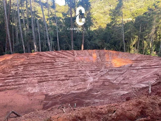 Terreno com 7500m², à venda, no bairro Umuarama em Campos do Jordão