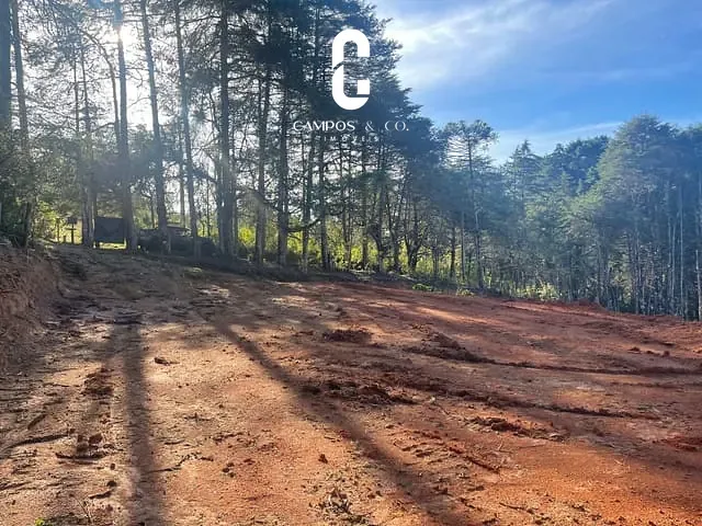 Terreno com 7500m², à venda, no bairro Umuarama em Campos do Jordão