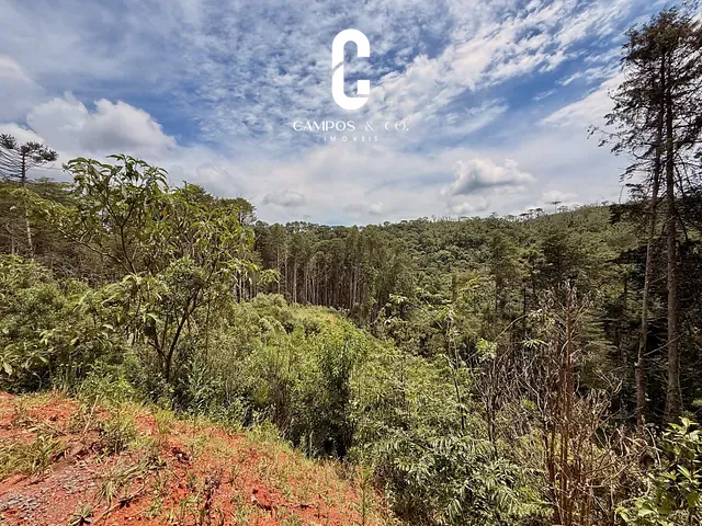Terreno com 7500m², à venda, no bairro Umuarama em Campos do Jordão