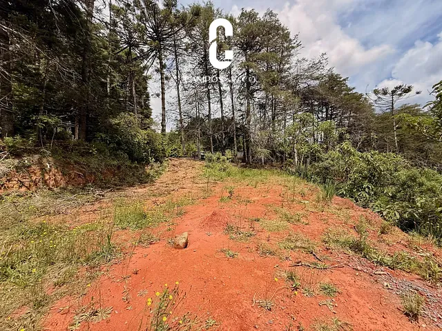 Terreno com 7500m², à venda, no bairro Umuarama em Campos do Jordão