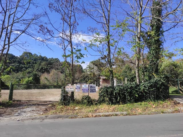 Terreno com 10950m², à venda, no bairro Cruzeiro em Caxias do Sul