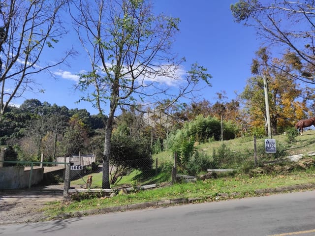 Terreno com 10950m², à venda, no bairro Cruzeiro em Caxias do Sul