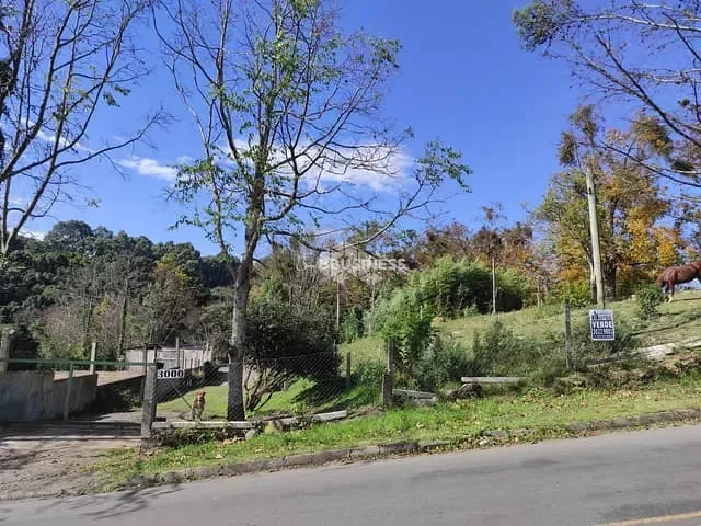Terreno com 10950m², à venda, no bairro Cruzeiro em Caxias do Sul