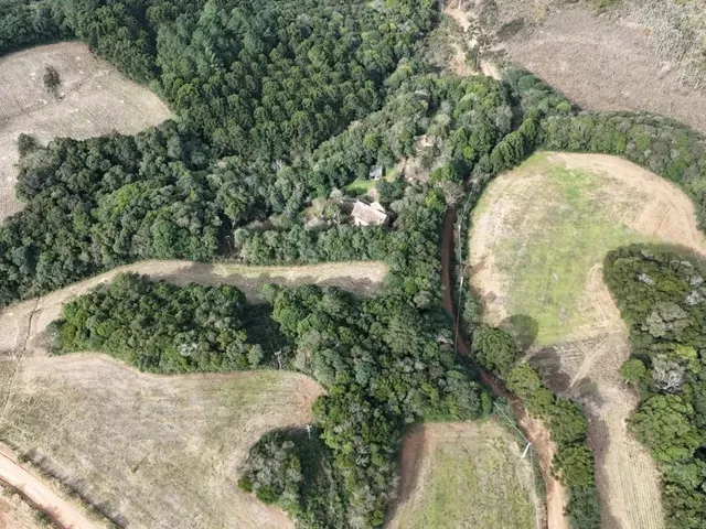 Terreno à venda, no bairro Cecilia em Campo Magro