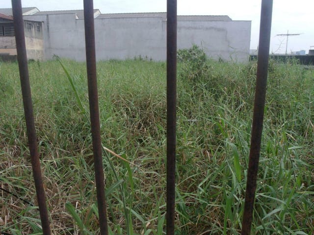 Foto do Terreno - Terreno rural à venda, Vila Ré, São Paulo. | ZONA LESTE IMÓVEIS