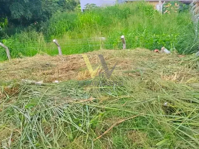 Terreno com 250m², à venda, no bairro Frei Eustaquio em Anápolis