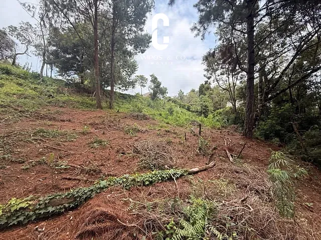 Terreno com 1020m², à venda, no bairro Vila Natal em Campos do Jordão
