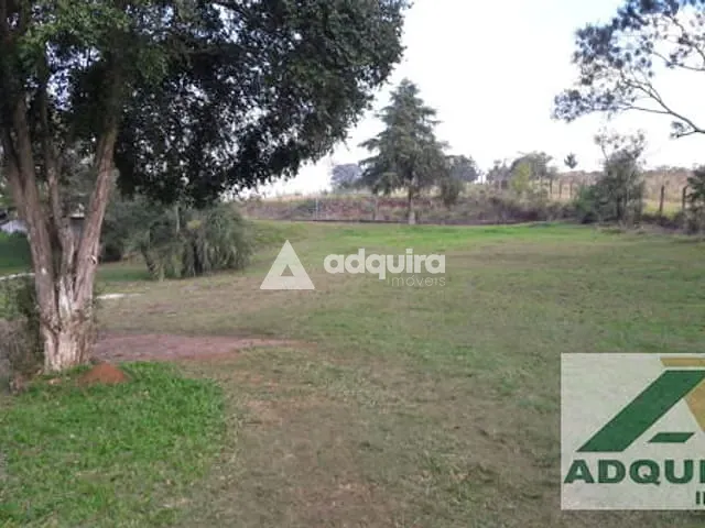 Terreno com 12100m², à venda, no bairro Uvaranas em Ponta Grossa