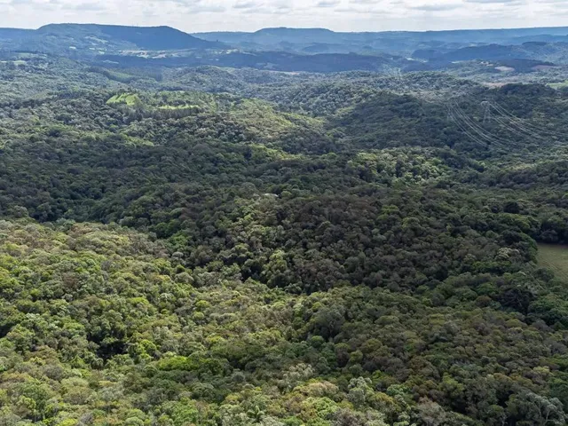 Terreno com 139150m², à venda, no bairro Salgadinho em Campo Largo