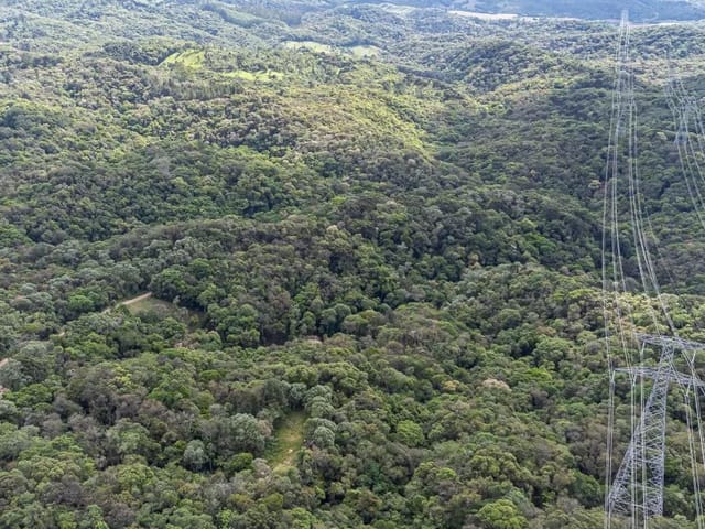 Terreno com 139150m², à venda, no bairro Salgadinho em Campo Largo