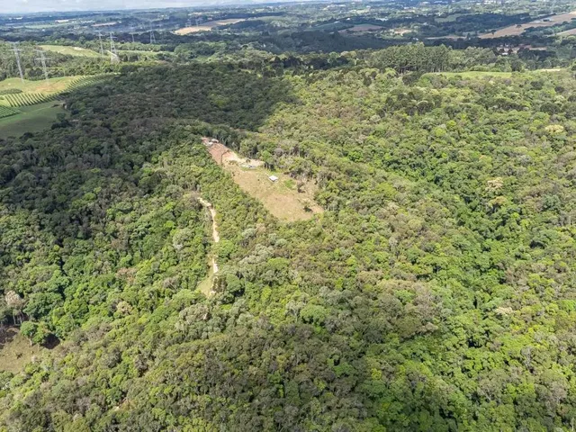 Terreno com 139150m², à venda, no bairro Salgadinho em Campo Largo