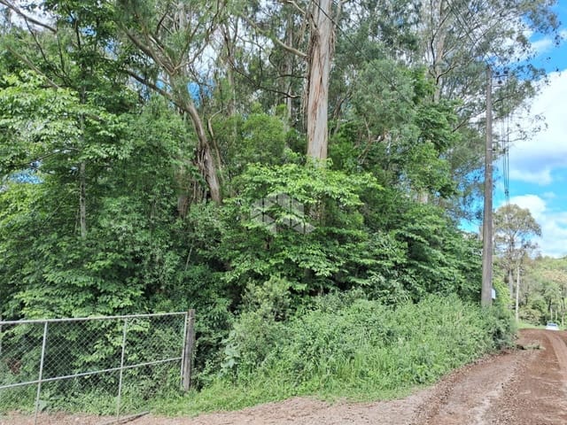 Terreno com 3450m², à venda, no bairro Ana Rech em Caxias do Sul