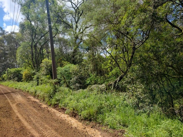Terreno com 3450m², à venda, no bairro Ana Rech em Caxias do Sul
