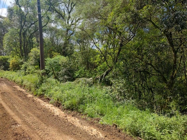 Terreno com 3450m², à venda, no bairro Ana Rech em Caxias do Sul