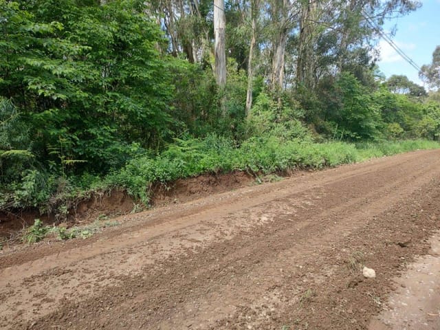 Terreno com 3450m², à venda, no bairro Ana Rech em Caxias do Sul
