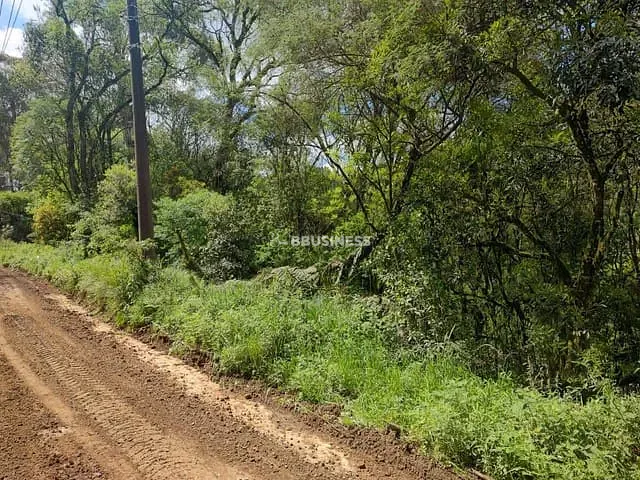Terreno com 3450m², à venda, no bairro Ana Rech em Caxias do Sul