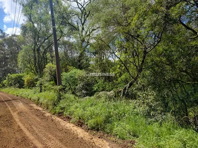 Terreno com 3450m², à venda, no bairro Ana Rech em Caxias do Sul
