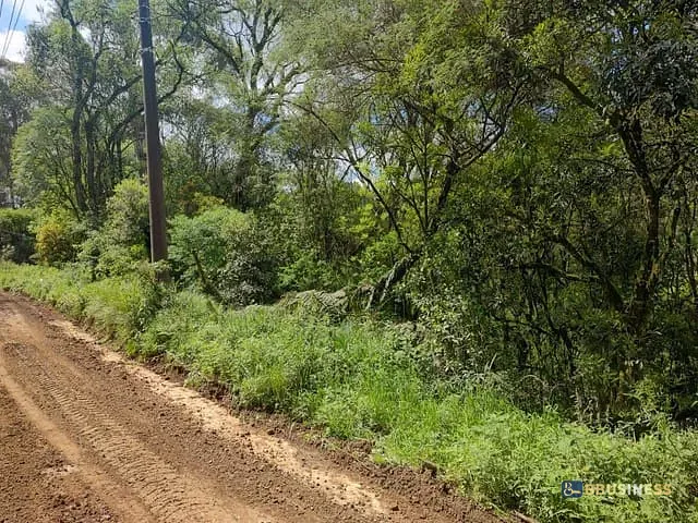 Terreno com 3450m², à venda, no bairro Ana Rech em Caxias do Sul