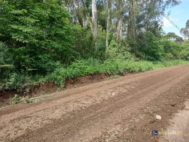 Terreno com 3450m², à venda, no bairro Ana Rech em Caxias do Sul