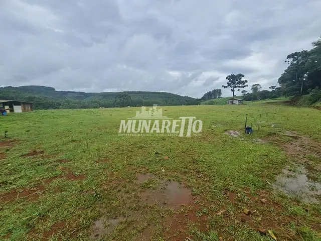 Terreno com 32000m², à venda, no bairro Santo Antonio em Concórdia