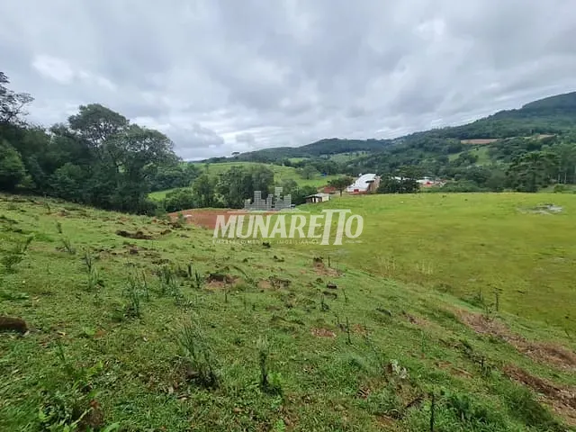 Terreno com 32000m², à venda, no bairro Santo Antonio em Concórdia