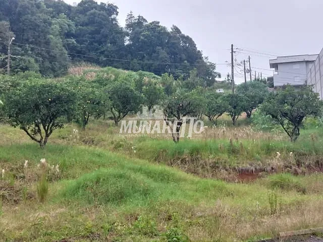 Terreno com 1623m², à venda, no bairro Primavera em Concórdia