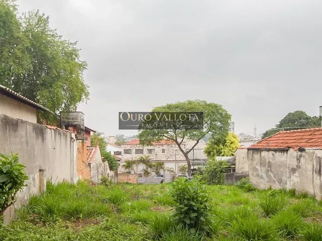 Terreno com 500m², à venda, no bairro Chácara Belenzinho em São Paulo