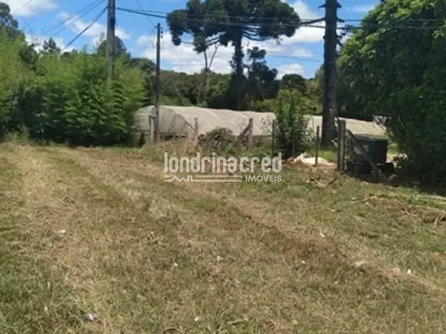 Terreno com 2000m², à venda, no bairro Zona Rural em Tijucas Do Sul