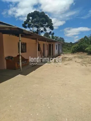 Terreno, 2000 m² - Foto 5
