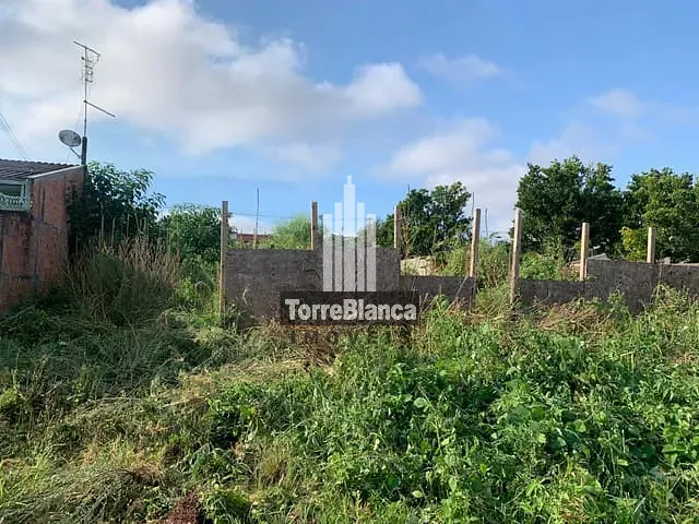 Terreno com 462m², à venda, no bairro Jardim Carvalho em Ponta Grossa
