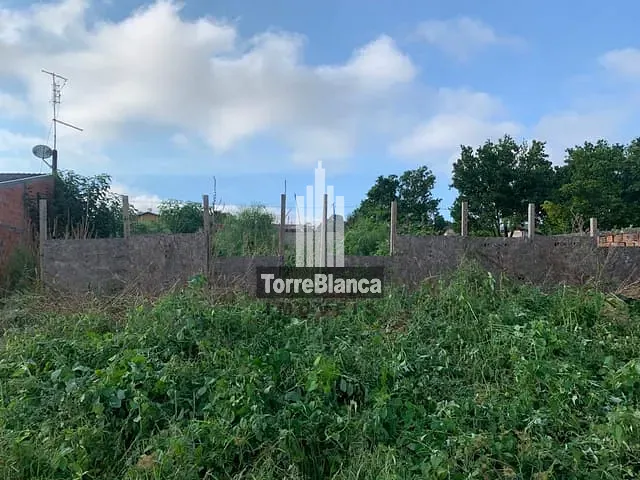 Terreno com 462m², à venda, no bairro Jardim Carvalho em Ponta Grossa