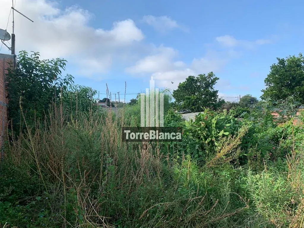 Terreno, 462 m² - Foto 2