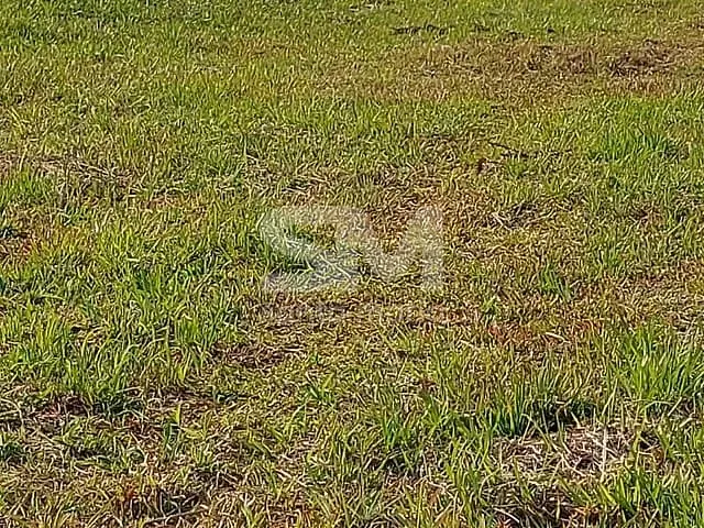 Terreno com 360m², à venda, no bairro Santos Dumont em Chapecó