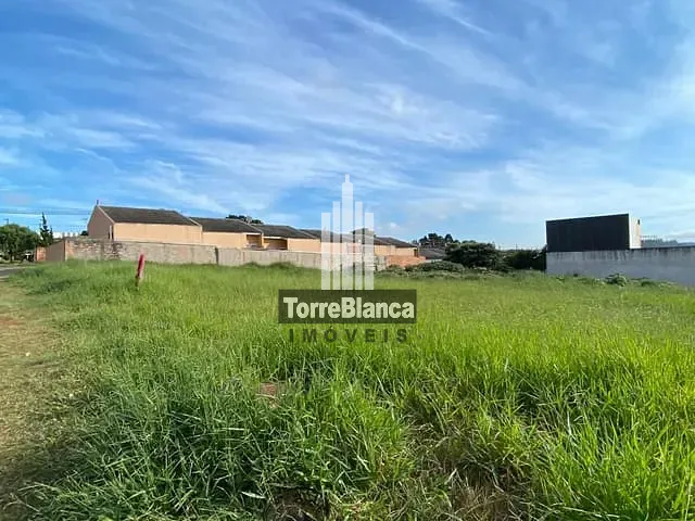 Terreno com 1800m², à venda, no bairro Cará-Cará em Ponta Grossa